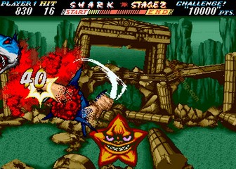 image de The First Funky Fighter